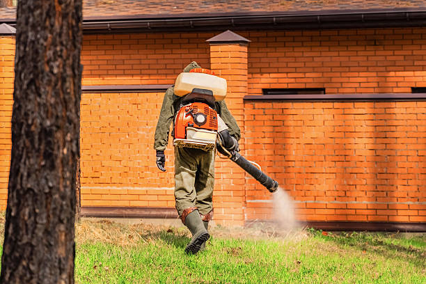 Bed Bug Clearance Verification and Documentation in Fairfield